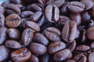 <img300*200:stuff/Coffee_Beans.jpg>