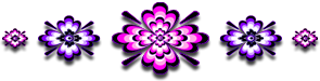 <img:stuff/GraphicFloralsPinkPurp295X75_test2.png>