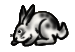 <img:http://elfpack.com/stuff/RABBITblackandwhite.gif>