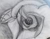 Rose_Sketch