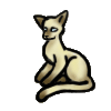 <img:stuff/SiameseCAT.gif>