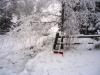 Snowy_Entry