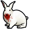 <img:stuff/killer_rabbit.gif>