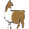 <img:stuff/llama100x100.gif>