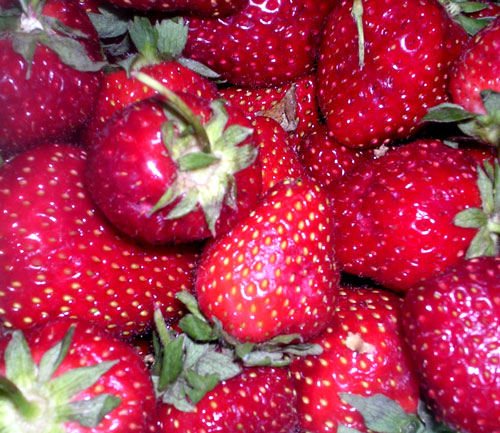 <img:stuff/strawberries.jpg>